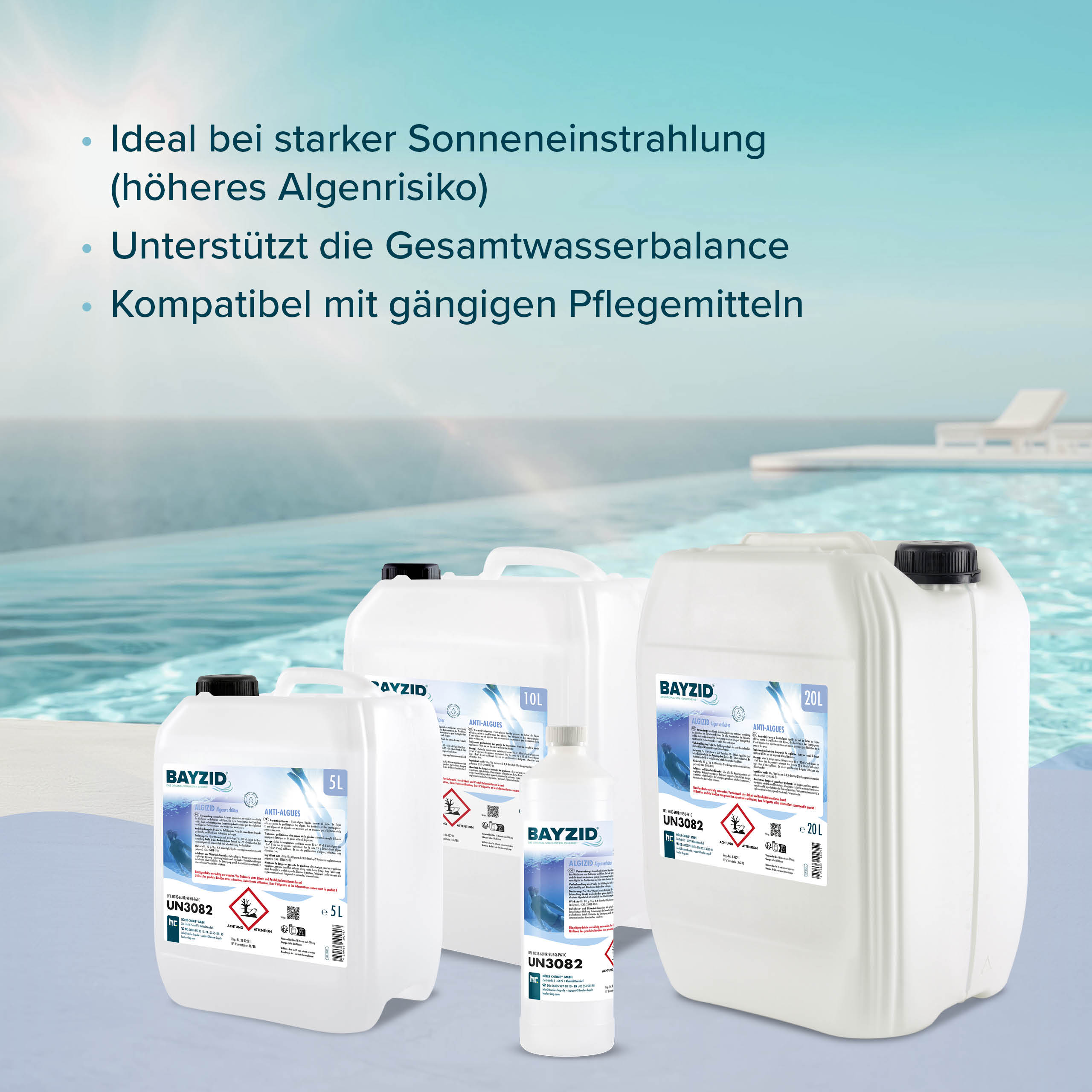 1 L BAYZID® Algizid Algenverhötung