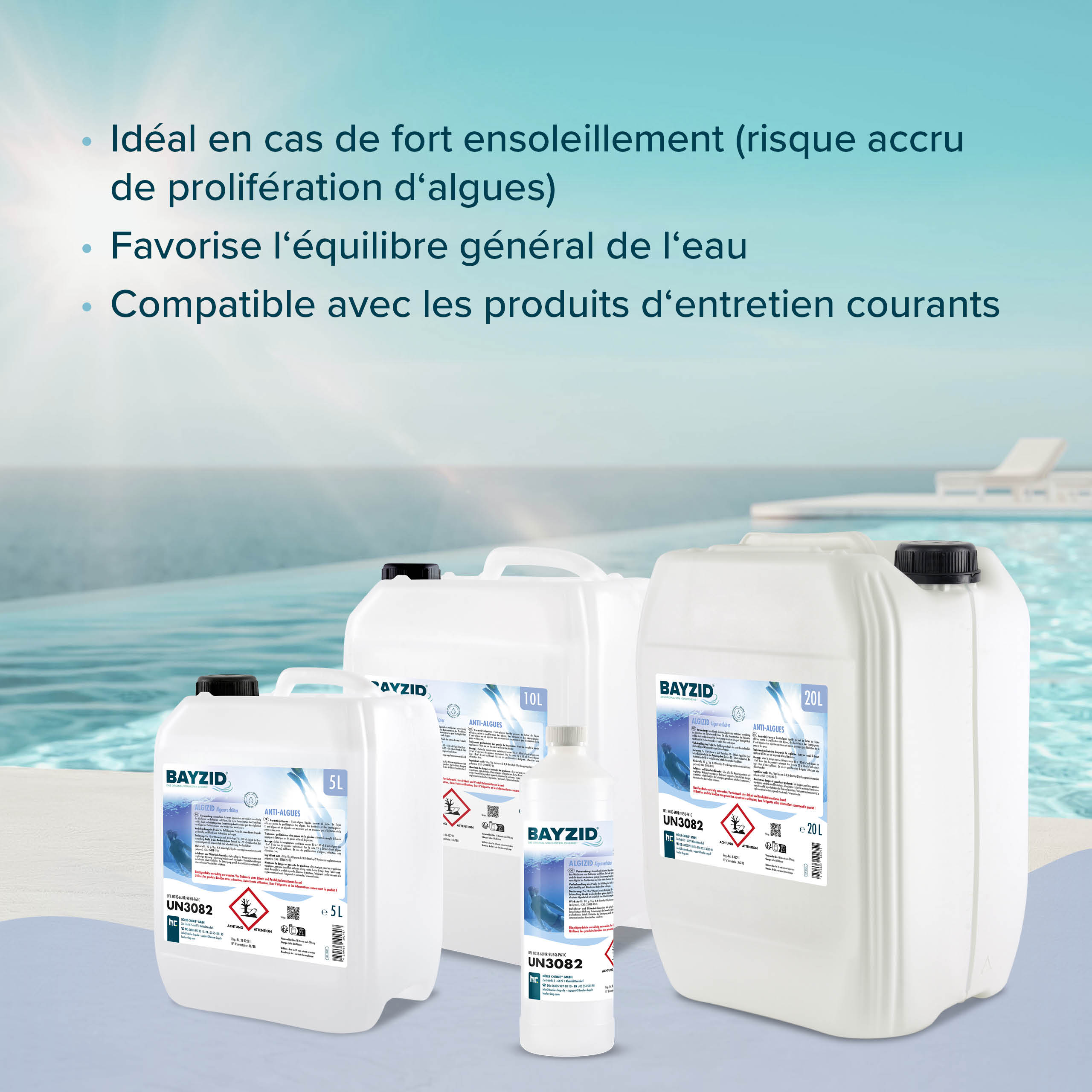 1 L BAYZID® Algizid Algenverhötung