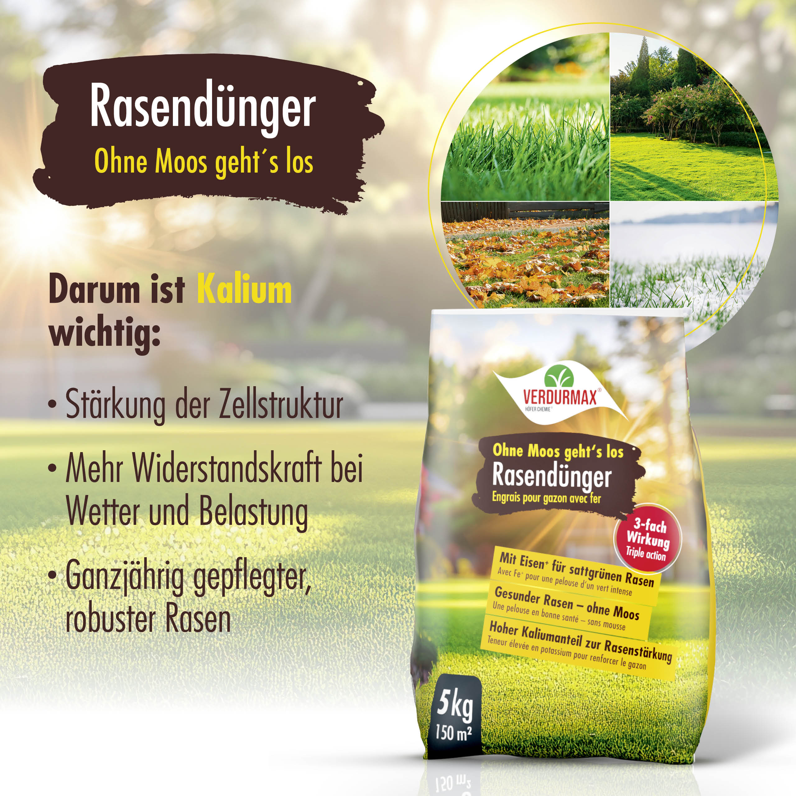 5 kg VERDURMAX® Rasendünger mit Eisen "Ohne Moos geht´s los"