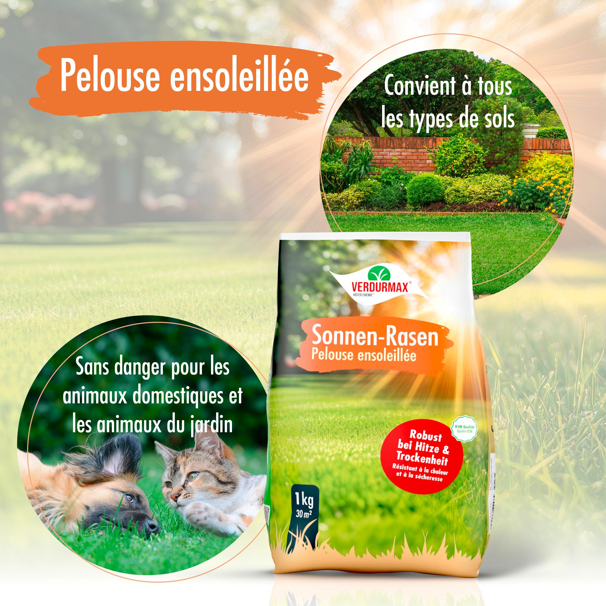 1 kg VERDURMAX® Trockenrasen Samen