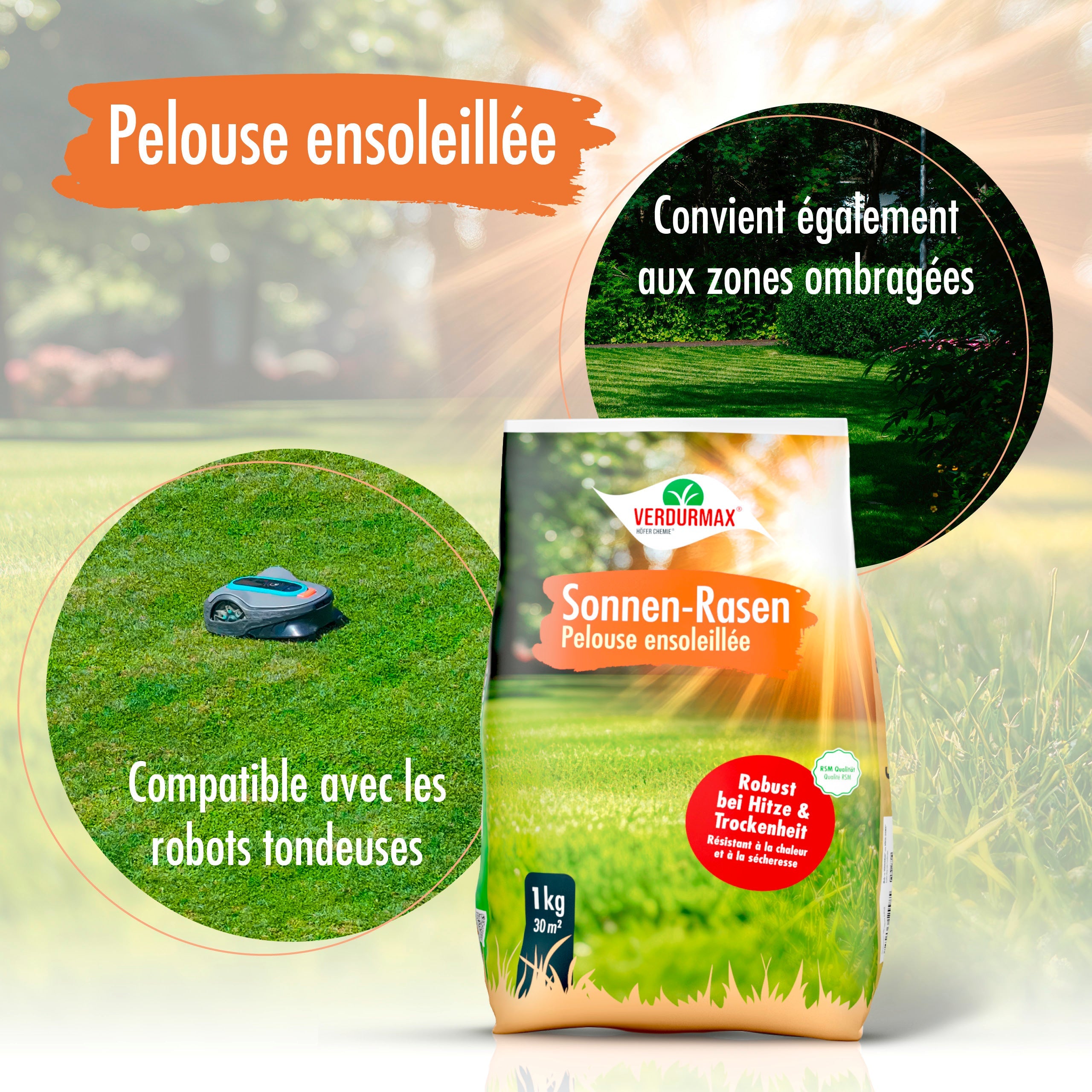 1 kg VERDURMAX® Trockenrasen Samen